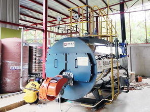 全球视野下的燃油燃气锅炉出口 市场趋势与战略要点