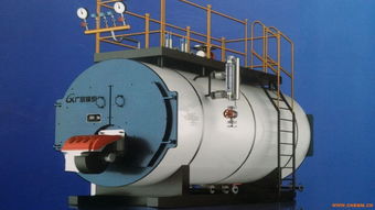 厂家直销燃气热水锅炉 高效节能与环保的供暖新选择