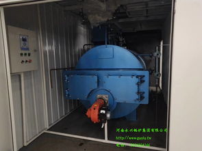 撬装燃气锅炉 2吨集装箱蒸汽锅炉，一体化设计的能效新星